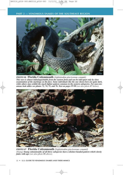 U.S. Guide to Venomous Snakes and Their Mimics
