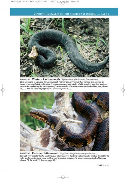 U.S. Guide to Venomous Snakes and Their Mimics