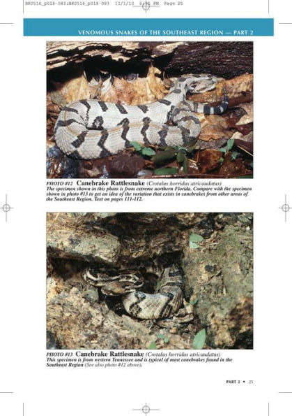 U.S. Guide to Venomous Snakes and Their Mimics