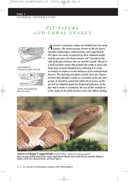 U.S. Guide to Venomous Snakes and Their Mimics