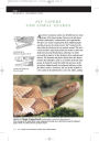 Alternative view 8 of U.S. Guide to Venomous Snakes and Their Mimics