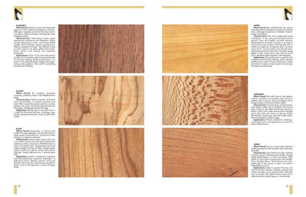 Woodworking: Techniques, Tools, Projects, and Everything You Need to Know