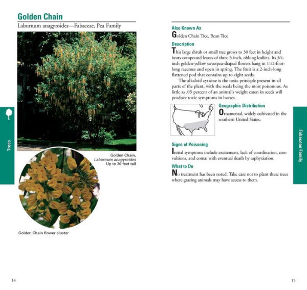 Horse Owner's Guide to Toxic Plants: Identifications, Symptoms, and Treatments