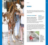 Alternative view 4 of Dr. Kellon's Guide to First Aid for Horses: A Quick and Easy Reference to Conditions That Require Emergency Treatment