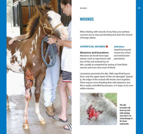 Dr. Kellon's Guide to First Aid for Horses: A Quick and Easy Reference to Conditions That Require Emergency Treatment