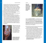 Alternative view 6 of Dr. Kellon's Guide to First Aid for Horses: A Quick and Easy Reference to Conditions That Require Emergency Treatment