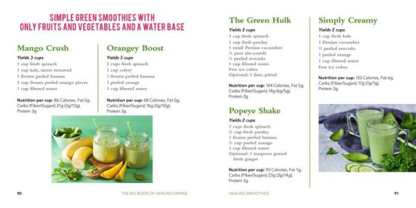 The Big Book of Healing Drinks: Juices, Smoothies, Teas, Tonics, and Elixirs to Cleanse and Detoxify