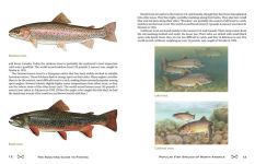 Alternative view 11 of The Scouting Guide to Basic Fishing: An Officially-Licensed Book of the Boy Scouts of America: 200 Essential Skills for Selecting Tackle, Tying Knots, Casting, and Catching Fish