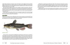 Alternative view 12 of The Scouting Guide to Basic Fishing: An Officially-Licensed Book of the Boy Scouts of America: 200 Essential Skills for Selecting Tackle, Tying Knots, Casting, and Catching Fish