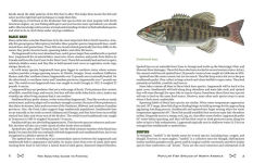 Alternative view 6 of The Scouting Guide to Basic Fishing: An Officially-Licensed Book of the Boy Scouts of America: 200 Essential Skills for Selecting Tackle, Tying Knots, Casting, and Catching Fish