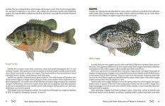 Alternative view 8 of The Scouting Guide to Basic Fishing: An Officially-Licensed Book of the Boy Scouts of America: 200 Essential Skills for Selecting Tackle, Tying Knots, Casting, and Catching Fish