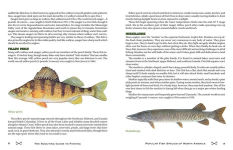 Alternative view 9 of The Scouting Guide to Basic Fishing: An Officially-Licensed Book of the Boy Scouts of America: 200 Essential Skills for Selecting Tackle, Tying Knots, Casting, and Catching Fish