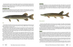 Alternative view 10 of The Scouting Guide to Basic Fishing: An Officially-Licensed Book of the Boy Scouts of America: 200 Essential Skills for Selecting Tackle, Tying Knots, Casting, and Catching Fish
