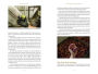 Alternative view 2 of The Joy of Cider: All You Ever Wanted to Know About Drinking and Making Hard Cider