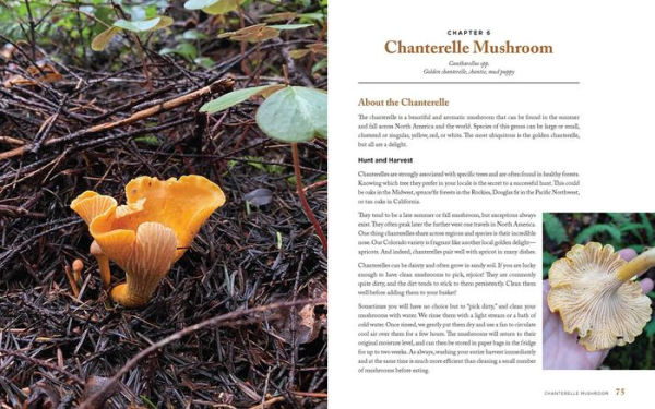 Wild Mushrooms: A Cookbook and Foraging Guide