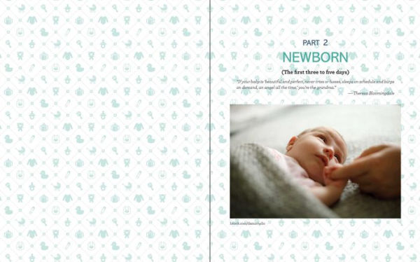 The Big Book of "Why" for Parents: 75 Tips and Tricks New Parents