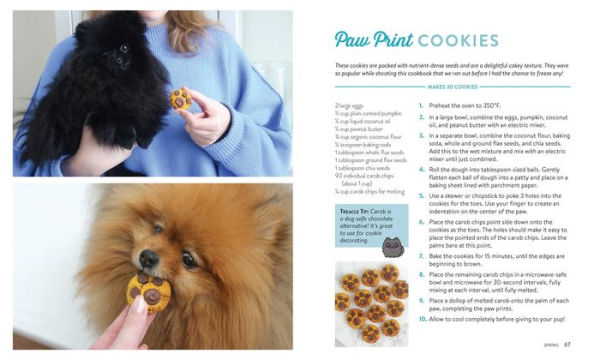 Pup-Approved Dog Treat Recipes: 80 Homemade Goodies from Paddington's Pantry