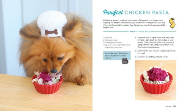 Pup-Approved Dog Treat Recipes: 80 Homemade Goodies from Paddington's Pantry