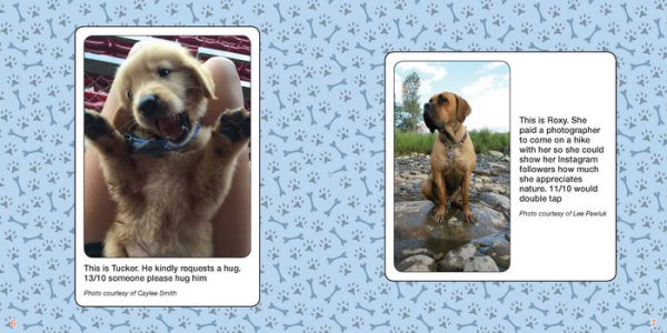 #WeRateDogs: The Most Hilarious and Adorable Pups You've Ever Seen