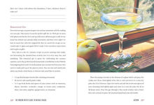 Alternative view 3 of The Modern Witch's Guide to Natural Magick: 60 Seasonal Rituals & Recipes for Connecting with Nature