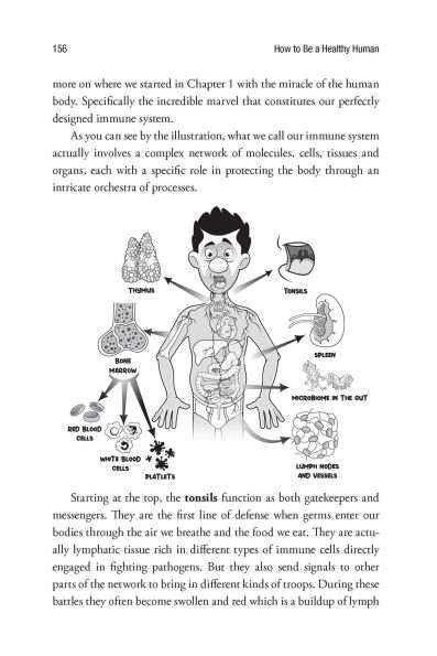 How to Be a Healthy Human: What Your Doctor Doesn't Know about Health and Longevity