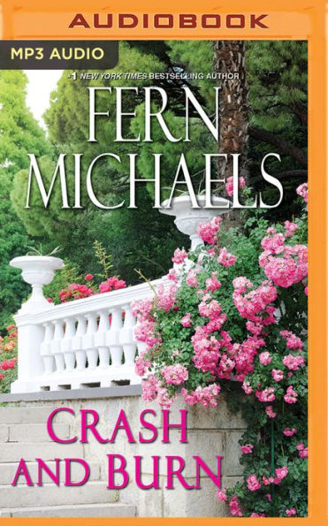 Crash and Burn (Sisterhood Series #27)