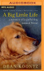 A Big Little Life: A Memoir of a Joyful Dog Named Trixie