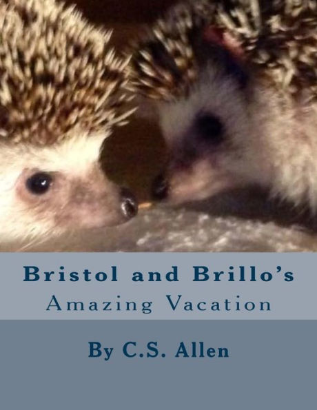 Bristol and Brillo's Amazing Vacation: The Hedgehog Sisters