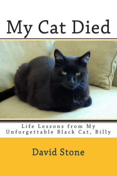 My Cat Died: Life Lessons from My Unforgettable Black Cat, Billy