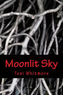 Moonlit Sky