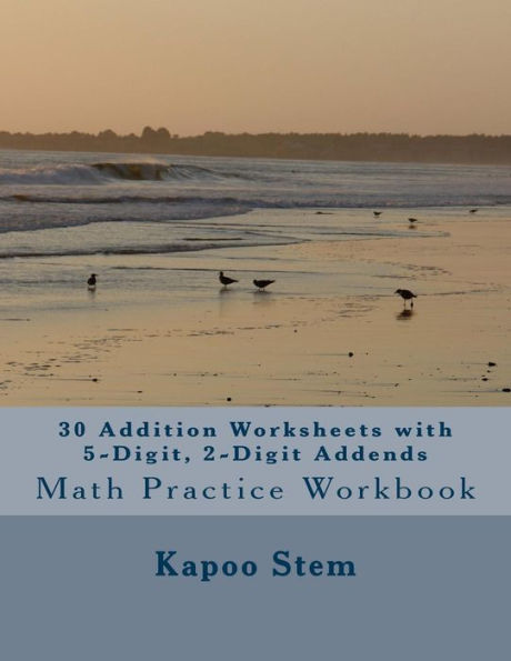 30 Addition Worksheets with 5-Digit, 2-Digit Addends: Math Practice Workbook