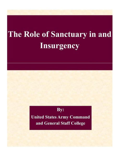 The Role of Sanctuary in and Insurgency