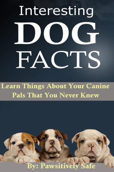 Interesting Dog Facts: Learn Things About Your Canine Pals That You Never Knew