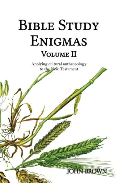 Bible Study Enigmas