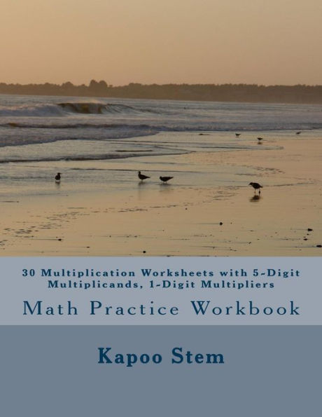 30 Multiplication Worksheets with 5-Digit Multiplicands, 1-Digit Multipliers: Math Practice Workbook