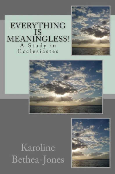 Everything Is Meaningless!: A Study in Ecclesiastes