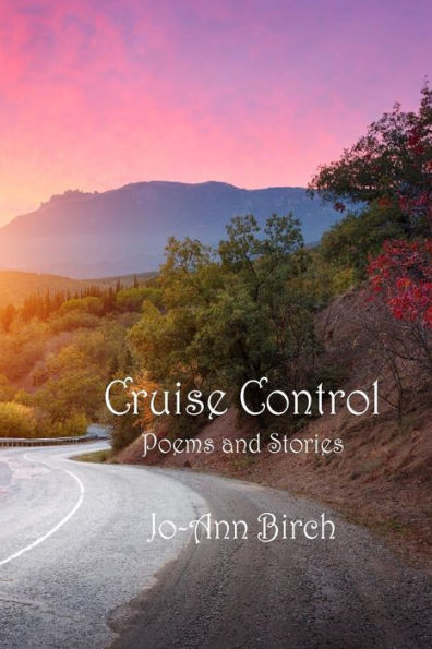 Cruise Control: Poems and Stories