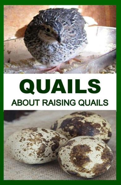 Quails: About Raising Quails