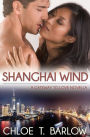 Shanghai Wind: A Gateway to Love Novella