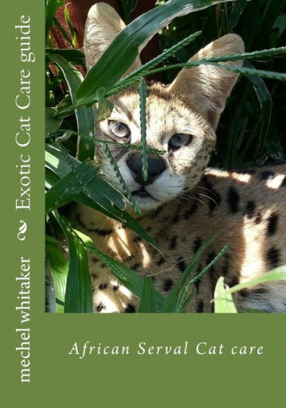 Exotic Cat Care guide: African Serval Cat care