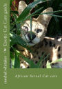 Exotic Cat Care guide: African Serval Cat care