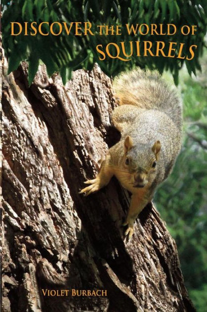 Discover the World of Squirrels: Illustrated Kids Book With Fun Facts ...