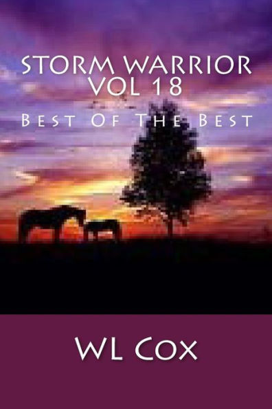 Storm Warrior Vol 18: Best Of The Best