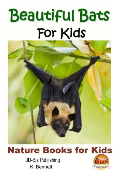 Beautiful Bats For Kids