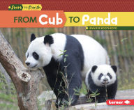 Title: From Cub to Panda, Author: Jennifer Boothroyd