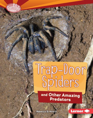 Trap Door Spiders And Other Amazing Predators By Rebecca E Hirsch