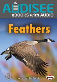 Title: Feathers, Author: Jennifer Boothroyd