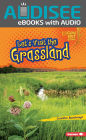 Let's Visit the Grassland
