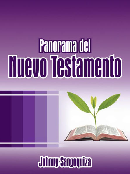 Panorama Del Nuevo Testamento