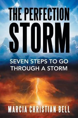 The Perfection Storm: Seven Steps to Go Through a Storm